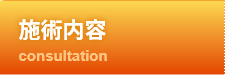 施術内容